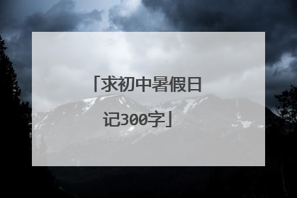求初中暑假日记300字