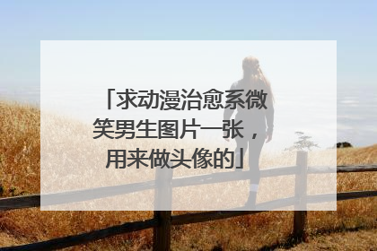 求动漫治愈系微笑男生图片一张，用来做头像的