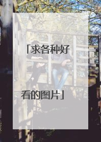 求各种好看的图片