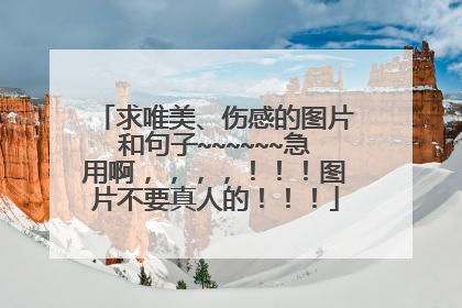求唯美、伤感的图片和句子~~~~~~急用啊，，，，！！！图片不要真人的！！！