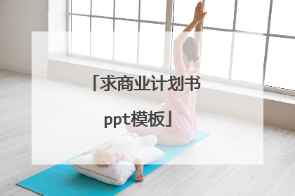 求商业计划书ppt模板