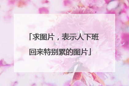 求图片，表示人下班回来特别累的图片