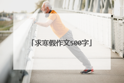 求寒假作文500字