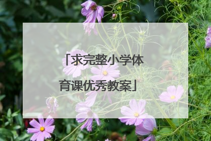 求完整小学体育课优秀教案