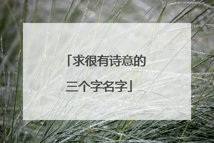求很有诗意的三个字名字