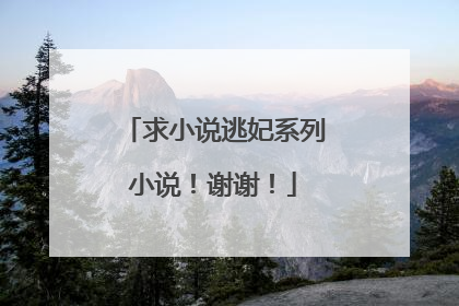 求小说逃妃系列小说！谢谢！