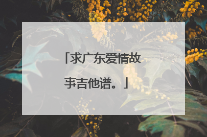 求广东爱情故事吉他谱。