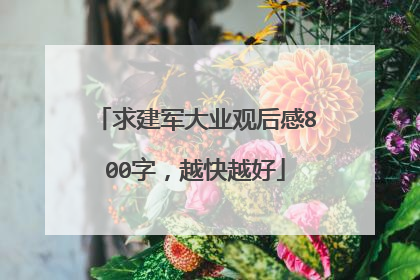 求建军大业观后感800字,越快越好