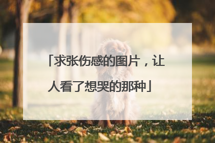 求张伤感的图片，让人看了想哭的那种