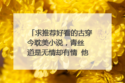求推荐好看的古穿今耽美小说，青丝 道是无情却有情 他来自古代 点将都