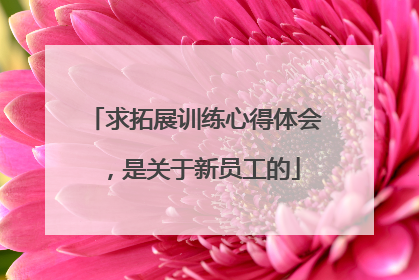 求拓展训练心得体会,是关于新员工的