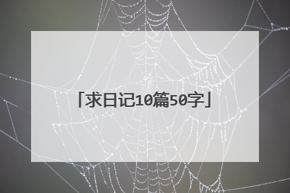 求日记10篇50字