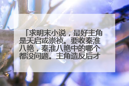 求明末小说，最好主角是天启或崇祯。要收秦淮八艳，秦淮八艳中的哪个都没问题。主角造反后才当皇帝也可。