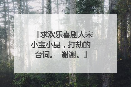 求欢乐喜剧人宋小宝小品，打劫的台词。 谢谢。