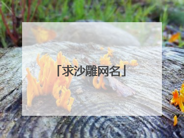 求沙雕网名