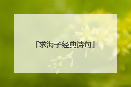 求海子经典诗句