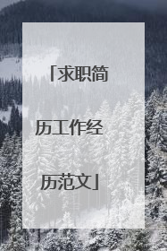 求职简历工作经历范文