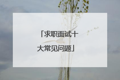 求职面试十大常见问题