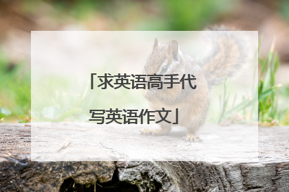 求英语高手代写英语作文