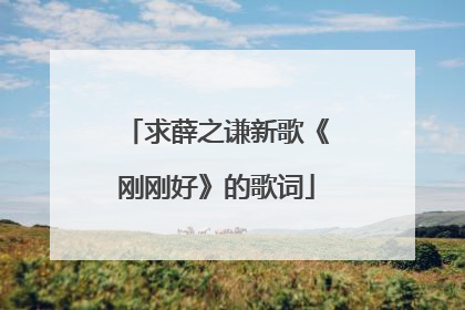 求薛之谦新歌《刚刚好》的歌词