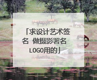求设计艺术签名 做摄影署名LOGO用的