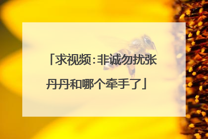 求视频:非诚勿扰张丹丹和哪个牵手了