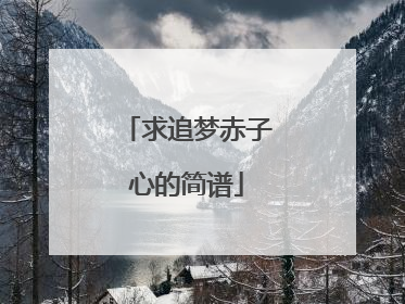 求追梦赤子心的简谱