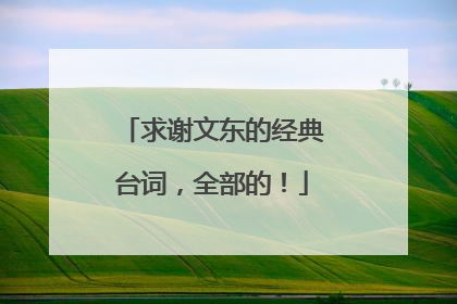 求谢文东的经典台词，全部的！
