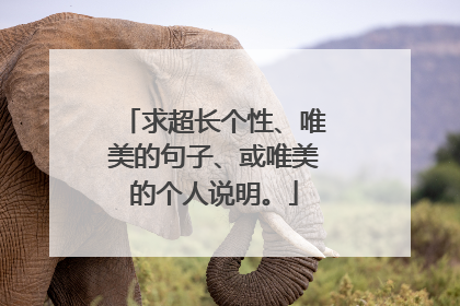 求超长个性、唯美的句子、或唯美的个人说明。