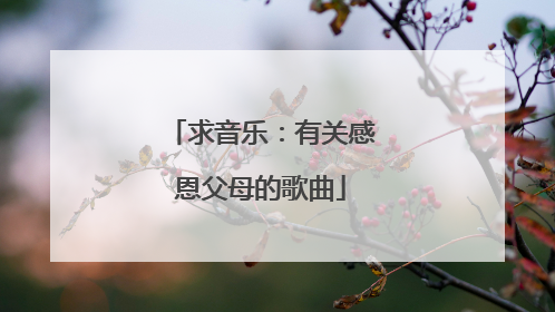 求音乐：有关感恩父母的歌曲