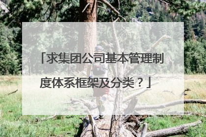 求集团公司基本管理制度体系框架及分类？