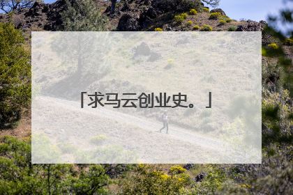 求马云创业史。