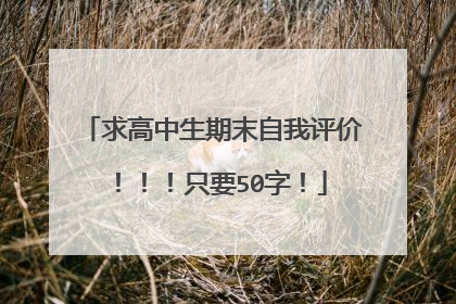 求高中生期末自我评价!!!只要50字!