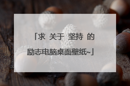 求 关于 坚持 的励志电脑桌面壁纸~