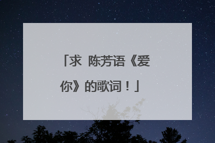 求 陈芳语《爱你》的歌词!