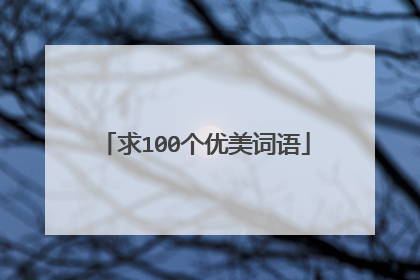 求100个优美词语