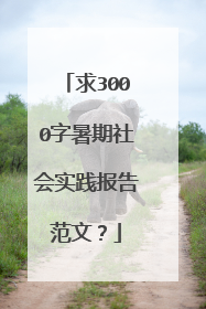 求3000字暑期社会实践报告范文?