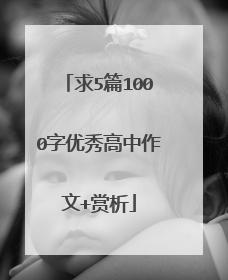 求5篇1000字优秀高中作文+赏析