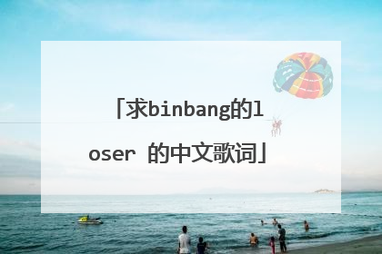 求binbang的loser 的中文歌词