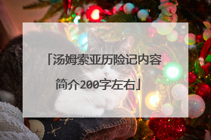 汤姆索亚历险记内容简介200字左右