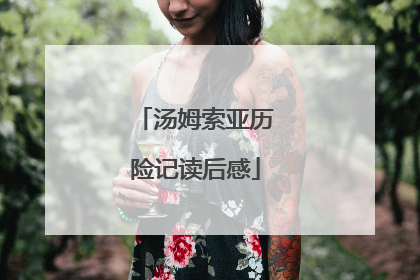 汤姆索亚历险记读后感