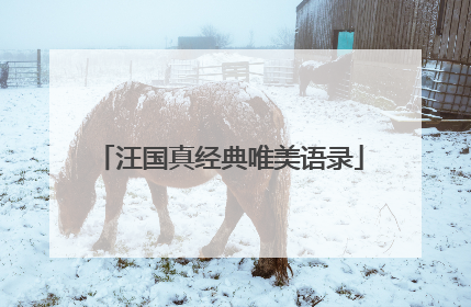 汪国真经典唯美语录