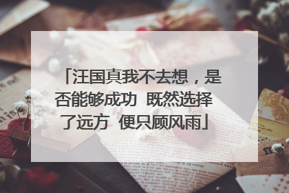 汪国真我不去想,是否能够成功 既然选择了远方 便只顾风雨