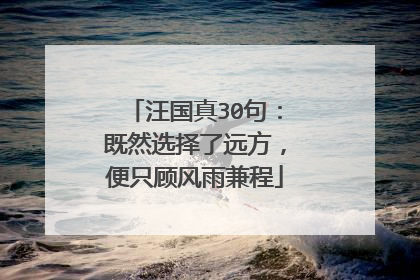 汪国真30句:既然选择了远方,便只顾风雨兼程