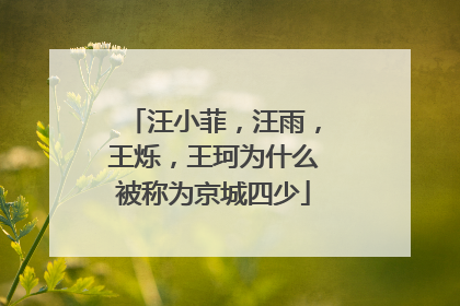 汪小菲，汪雨，王烁，王珂为什么被称为京城四少