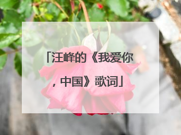 汪峰的《我爱你,中国》歌词