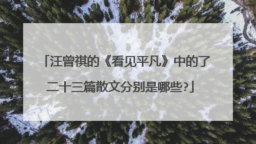 汪曾祺的《看见平凡》中的了二十三篇散文分别是哪些?