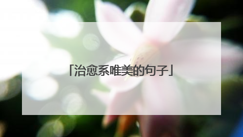 治愈系唯美的句子