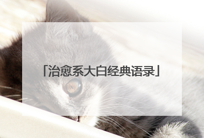 治愈系大白经典语录