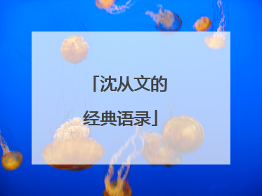 沈从文的经典语录